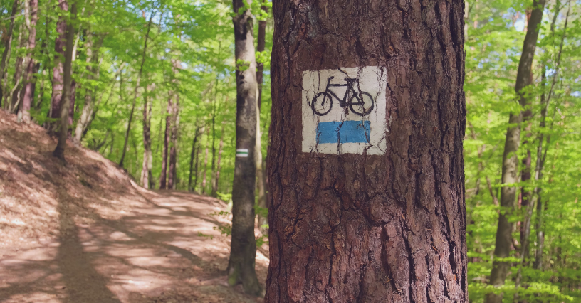 Oznaczenie trasy rowerowej na drzewie w lesie