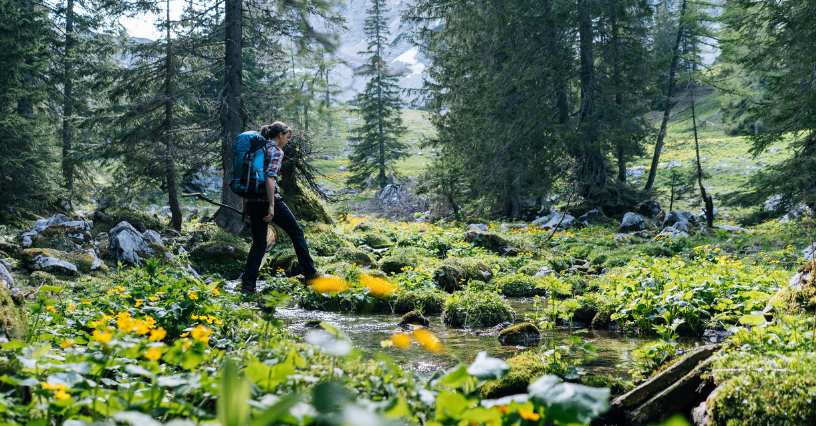 Kobieta z plecakiem trekkingowym wędruje przez malowniczy, górski las wiosną