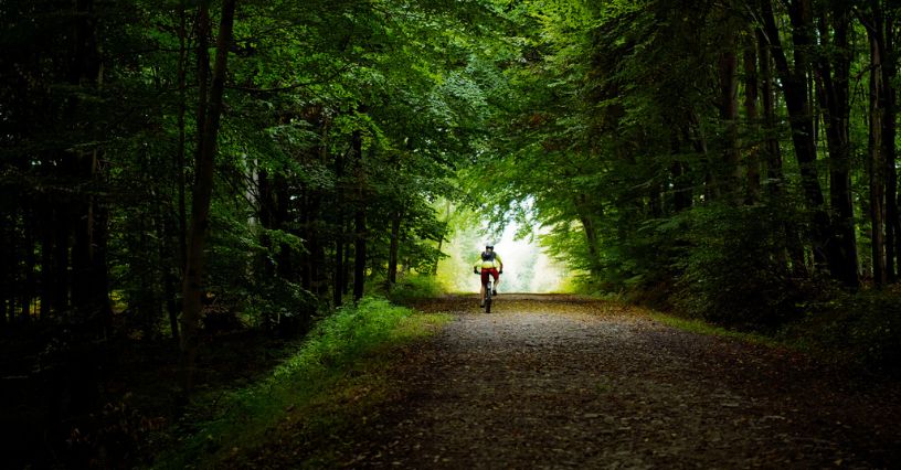 Rowerzysta jedzie drogą przez gęsty las