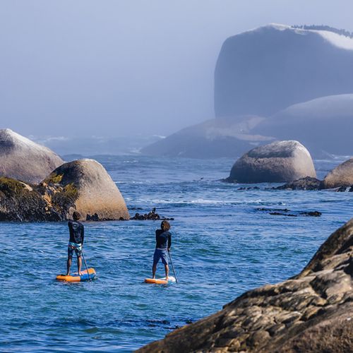 Zestaw deska SUP pompowana JP-Australia SUP AllroundAir LE multicolor