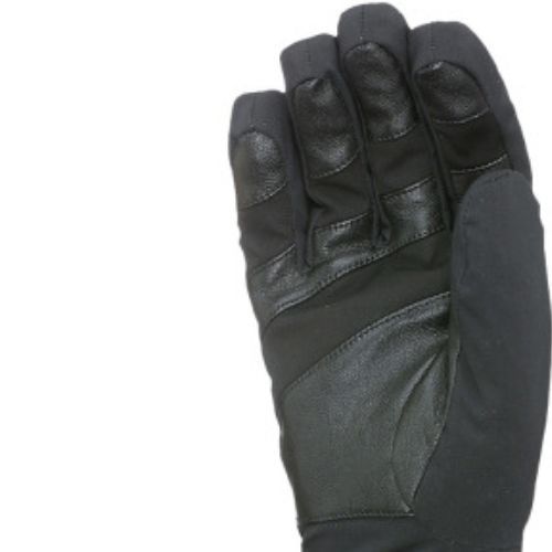 Rękawice narciarskie męskie Level Evolution Gore-Tex black