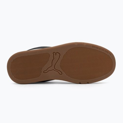 Buty męskie PUMA Park Lifestyle SK8 puma white/puma black/feather gra
