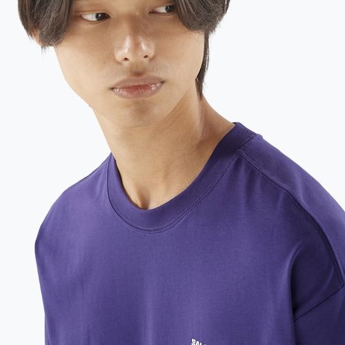 Koszulka męska Salomon Logo RX Tee astral