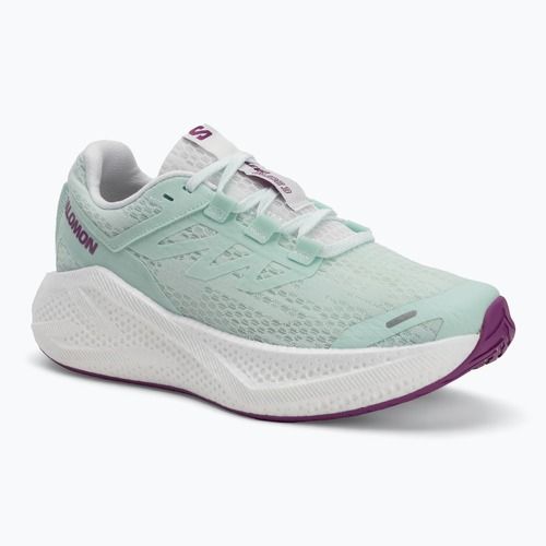Buty do biegania damskie Salomon Aero Glide 3 bay/white/wilowherb