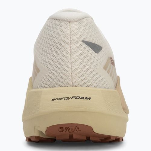 Buty do biegania męskie Salomon Drx Defy GRVL vanilla ice/green haze/white pepper