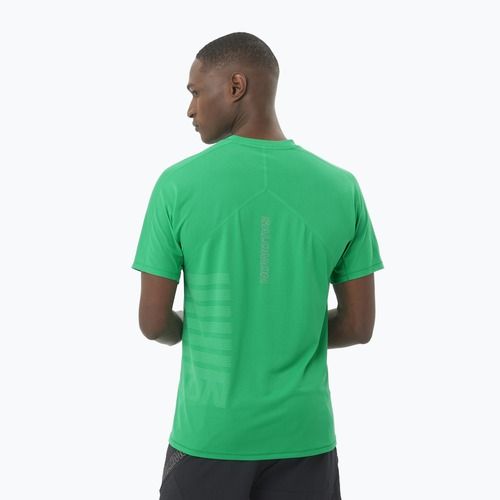 Koszulka do biegania męska Salomon Sense Aero Tee GFX parakeet/spearmintme