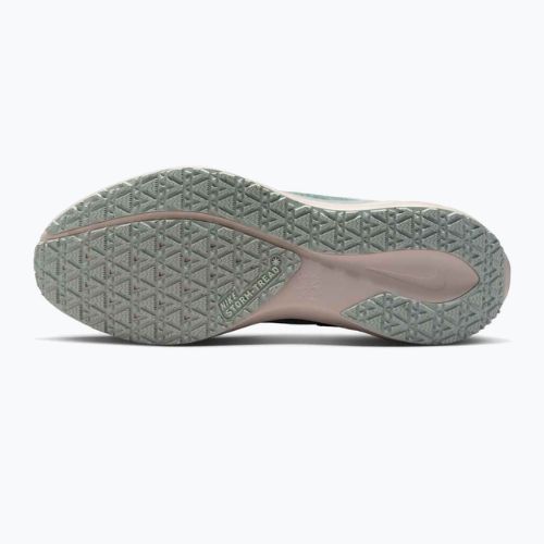 Buty do biegania męskie Nike Pegasus 41 GTX light pumice/pure platinum/silt red/metal silver