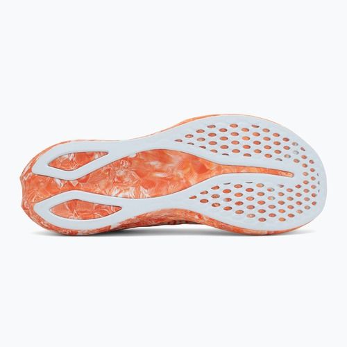 Buty do biegania męskie ASICS Noosa Tri 16 sky/cherry tomato