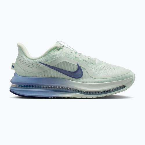 Buty do biegania damskie Nike Pegasus Premium barely green/work blue/blue void