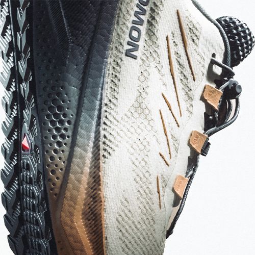 Buty do biegania damskie Salomon Aero Blaze 4 GRVL GTX rainy day/black