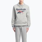 Bluza męska Reebok Identity Big Logo Fleece Hoodie medium grey heater/vector navy/vector red