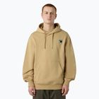 Bluza męska The North Face Mountain Logo Relaxed Hooded khaki stone