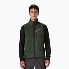 Bezrękawnik męski Patagonia Retro Pile Fleece old growth green