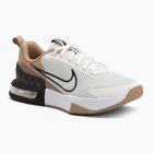 Buty treningowe męskie Nike Air Max Alpha Trainer 6 sail/baroque brown/hemp/desert dust