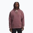 Bluza męska Under Armour Project Rock Icon Hoody maroon mist/black