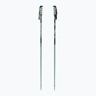 Kije narciarskie Salomon Steep iceberg green/black