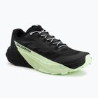 Buty do biegania męskie Salomon Pulsar black/black/patina green
