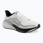 Buty do biegania męskie Nike Pegasus 42 summit white/metallic silver-photon dust