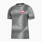 Koszulka piłkarska męska Nike Dri-Fit Poland Pre-Match 2026 pure platinum/cool grey