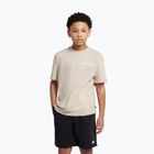 Koszulka New Balance 574 Shoe Graphic Tee timberwolf