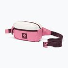 Saszetka nerka Columbia Trail Traveler Hip sea salt/rosette/moonvista