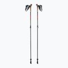 Kije nordic walking LEKI Instructor Lite czarno-srebrne 65326341