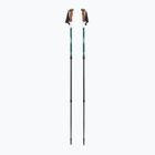 Kije trekkingowe LEKI Trail green/white