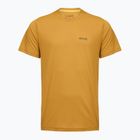 Koszulka trekkingowa  męska REGATTA Mindoi Anti Insect wood brown