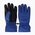 Rękawice narciarskie 4F Fnk F159 cobalt