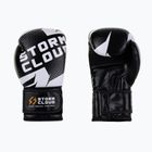 Rękawice bokserskie StormCloud Bolt 3.0 black/white