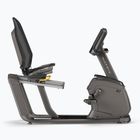 Rower stacjonarny Matrix Fitness Recumbent Bike R50XR-02 graphite grey