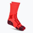 Skarpety męskie X-Socks Trailrun Perform Crew fluo red/namib red