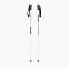 Kije narciarskie Fizan Action Pro white