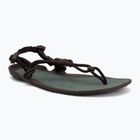 Sandały barefoot męskie Xero Shoes Aqua Cloud java/brown/dark/forest