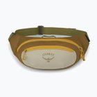 Saszetka nerka Osprey Daylite Waist green canopy/green creek