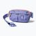 Saszetka nerka Cotopaxi Todo Hip Pack 2 l aster
