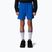 Spodenki dziecięce The North Face Regular Cotton hero blue