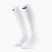 Skarpety kompresyjne damskie CEP Run Tall 5.0 white