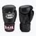 Rękawice bokserskie RAJA BOXING Single Semi Leather black