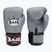 Rękawice bokserskie RAJA BOXING Single Semi Leather grey