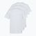 Koszulka męska PROSTO Basic 3Pack white
