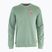 Bluza męska Fjällräven 1960 Logo Badge Sweater misty green