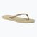 Japonki damskie Havaianas Slim sand grey/light golden