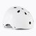 Kask Rollerblade Downtown white/black