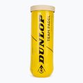 Piłki do padla Dunlop Team Padel 3pcs