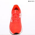 Buty do biegania damskie New Balance FuelCell Propel v5 rain cloud 9