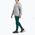 Spodnie męskie Reebok Identity Small Logo Fleece Jogger collegiate green 2