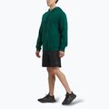 Bluza męska Reebok Identity Small Logo Fleece collegiate green 2