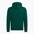 Bluza męska Reebok Identity Small Logo Fleece collegiate green 5