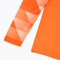 Bluza piłkarska męska Nike Dri-Fit Dri-Fit Park IV Goalkeeper safety orange/white/black 4